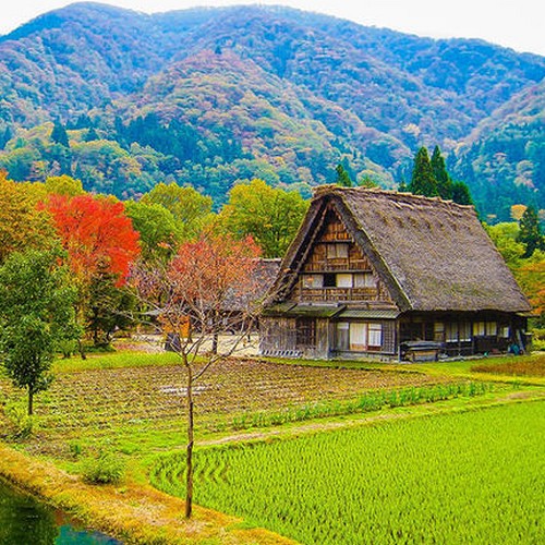 De boerenwoningen in Shirakawago