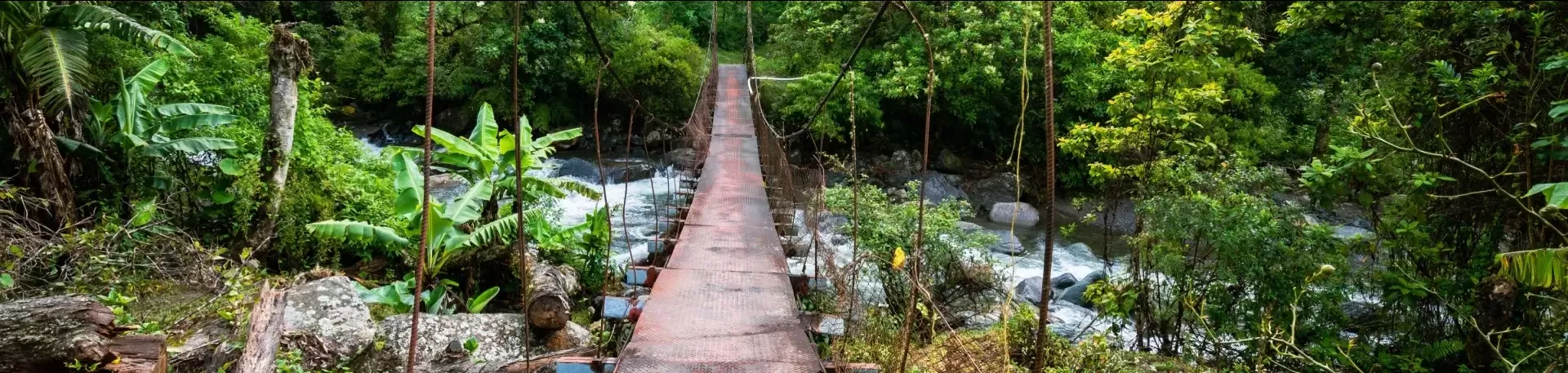 Panama Boquete