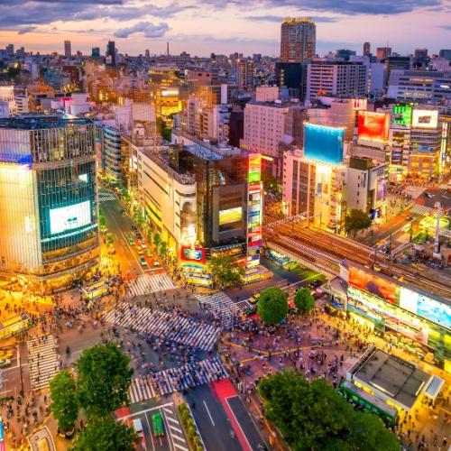  De beroemde Shibuya Crossing